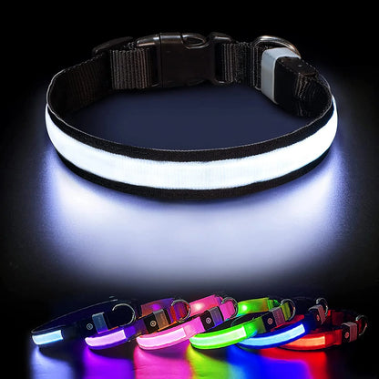 Light up LED Dog Collar, Waterproof Rechargeable for Night Walking RGB Colorful Adjustable Safety Dog Collar for Small Dogs (Purple)