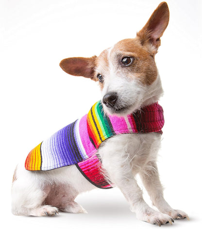Handmade Dog Poncho from Authentic Mexican Blanket - Dog Clothes – Chihuahua Coat - Costume - Sweater - Vest (Multi Color, XXS)