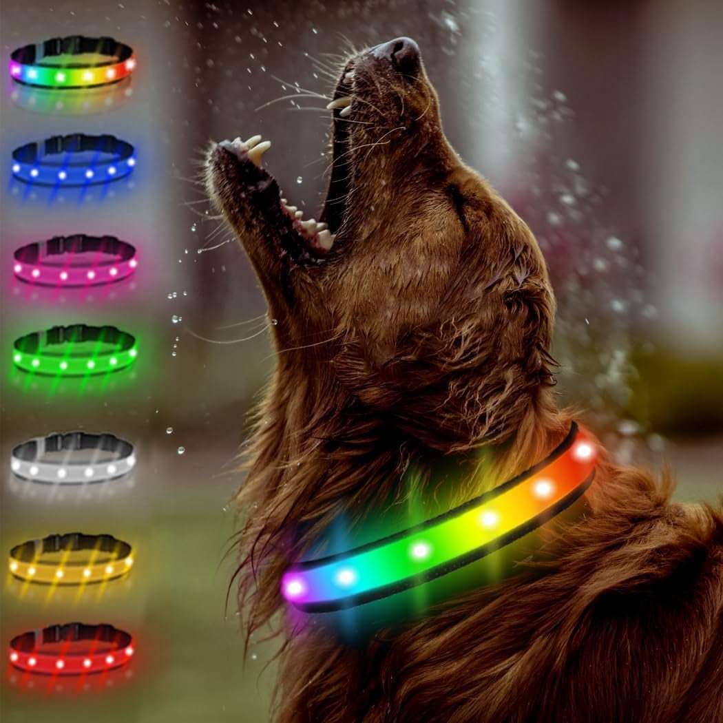 Light up Dog Collar - Multicolor LED Dog Collar with 3 Glow Modes, Rechargeable Glow in the Dark Dog Collars for Small, Medium & Large Dogs, 1000 Ft Visibility, IPX7 Waterproof (Black, S)