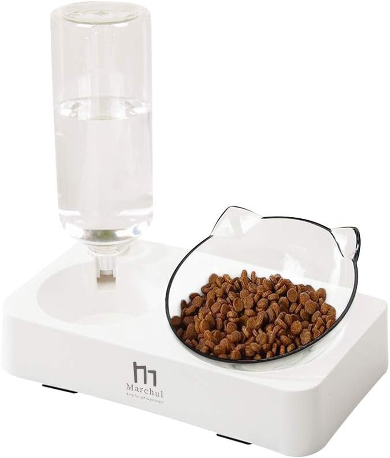 Double Elevated Dog Cat Bowl, Pets Water and Food Bowl Set, 15° Raised Tilted Dishes Indoor for Kitten, Puppies, Small or Medium Size Dogs Cats