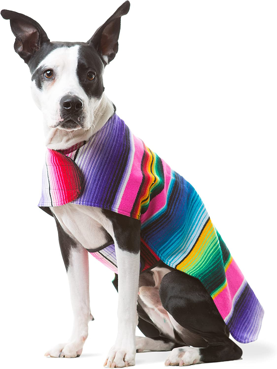 Handmade Dog Poncho from Authentic Mexican Blanket - Dog Clothes – Chihuahua Coat - Costume - Sweater - Vest (Multi Color, XXS)