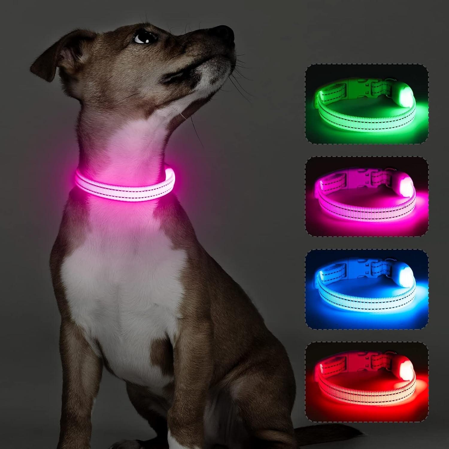 Light up Dog Collar - Rechargeable Puppy Collar Glow in the Dark LED Dog Collar Lights for Small Dogs & Cats (X-Small, Blue)