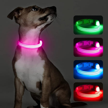 Light up Dog Collar - Rechargeable Puppy Collar Glow in the Dark LED Dog Collar Lights for Small Dogs & Cats (X-Small, Blue)