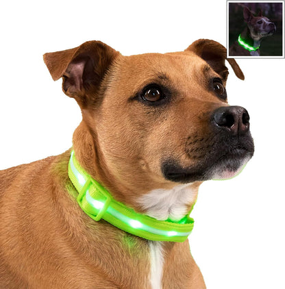 Light up Dog Collar - the Original LED Dog Collar - USB Rechargeable - Waterproof - 1,000 Feet of Visibility - Dog Collar Light for Small, Medium, Large Dogs - USA Brand