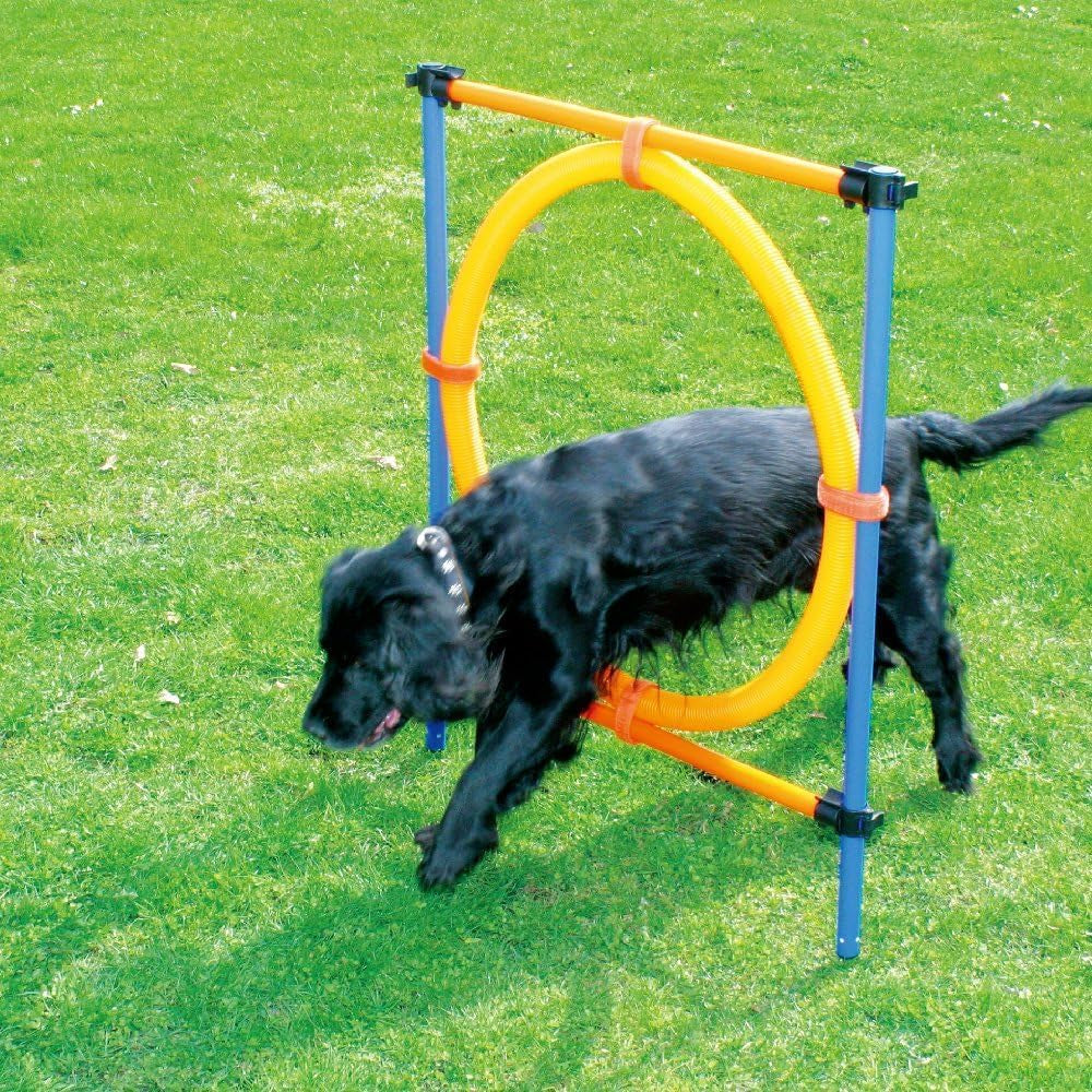 Dog Training Exercise Equipment, Dog Agility Training Equipment, Jump Training Hurdles Equipment,Playground Equipment Outdoor