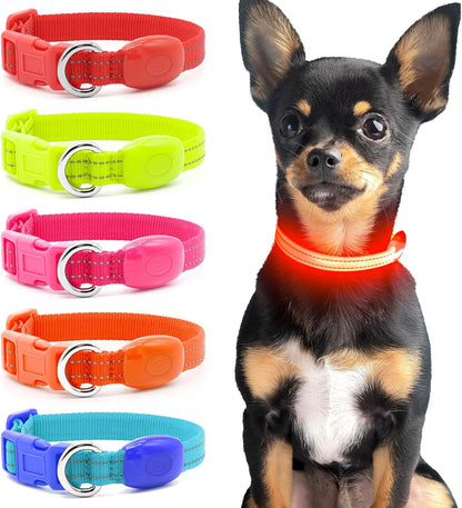 Light up Dog Collar - Reflective LED Puppy Collar Rechargeable Glow in the Dark Cat Collar High Visibility Safety Dog Lights for Night Walking (XS, Red)