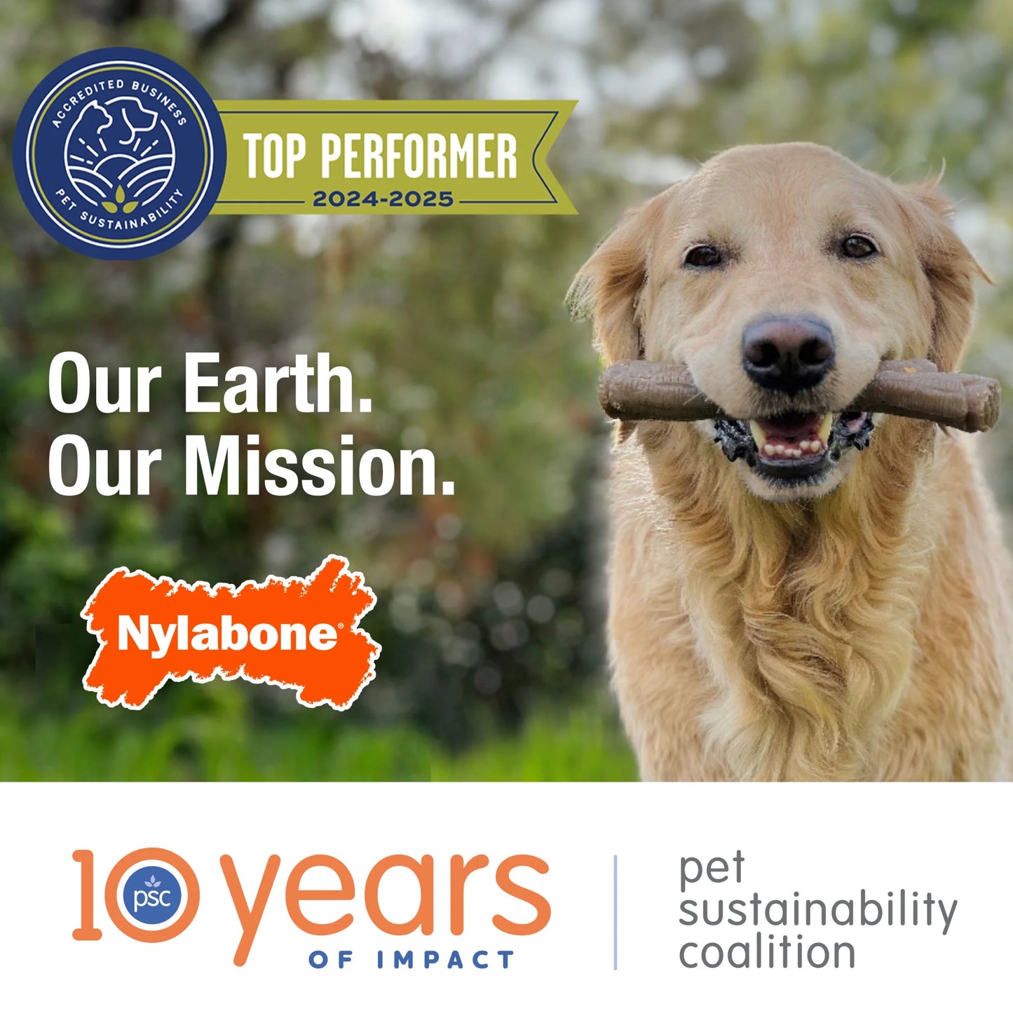 Moderate Chew Flexichew Bone Peanut Butter & Bacon Orange & Blue Xx-Small/Tiny - up to 8 Lbs. (2 Count)