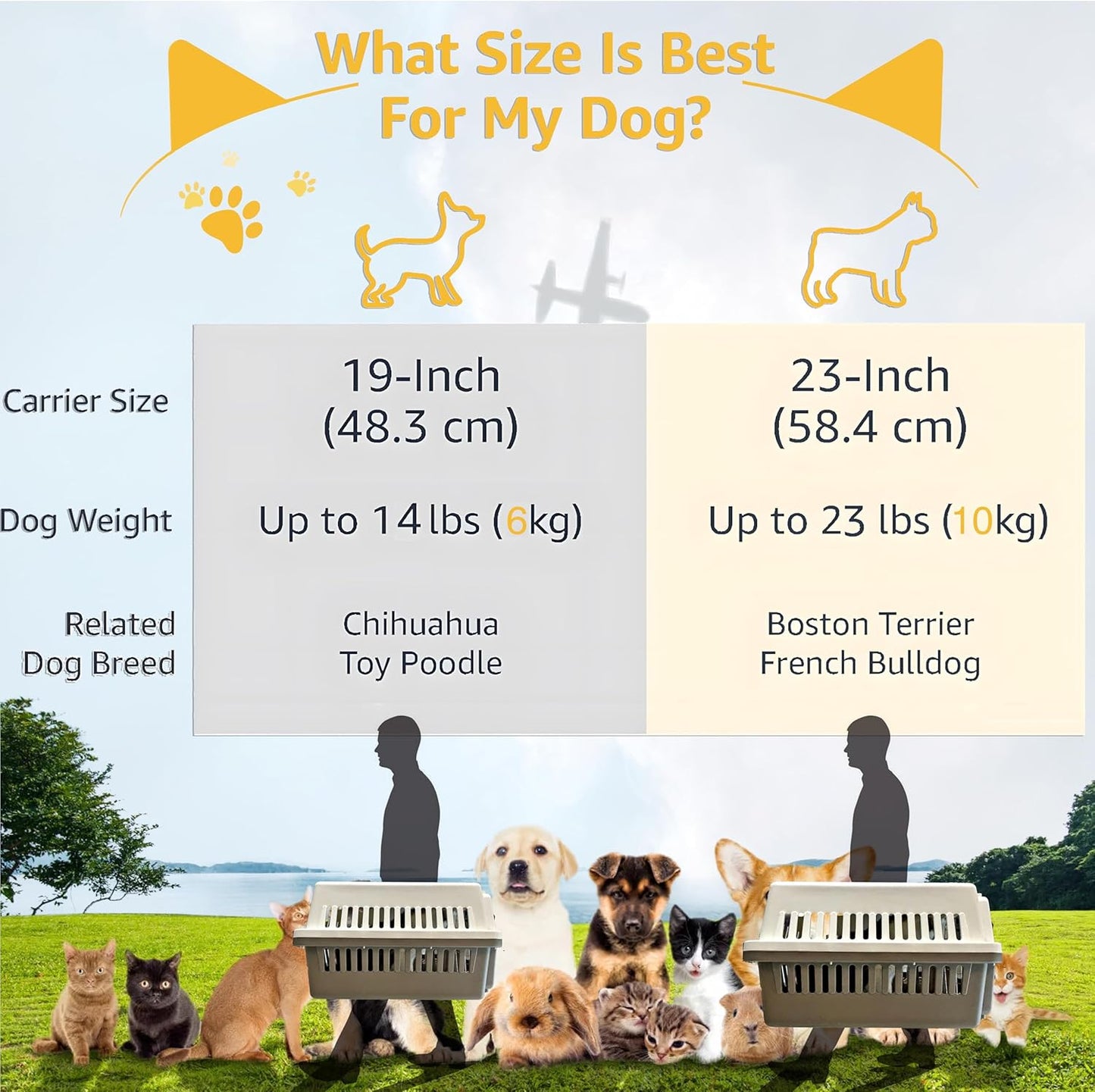 -Pets Spree Travel Pet Carrier Dog/Cat Hard-Sided Carriers for Pets up to 14 Pounds Small Animal Carrier Airline/Road Travel Approved Stout (Blue)