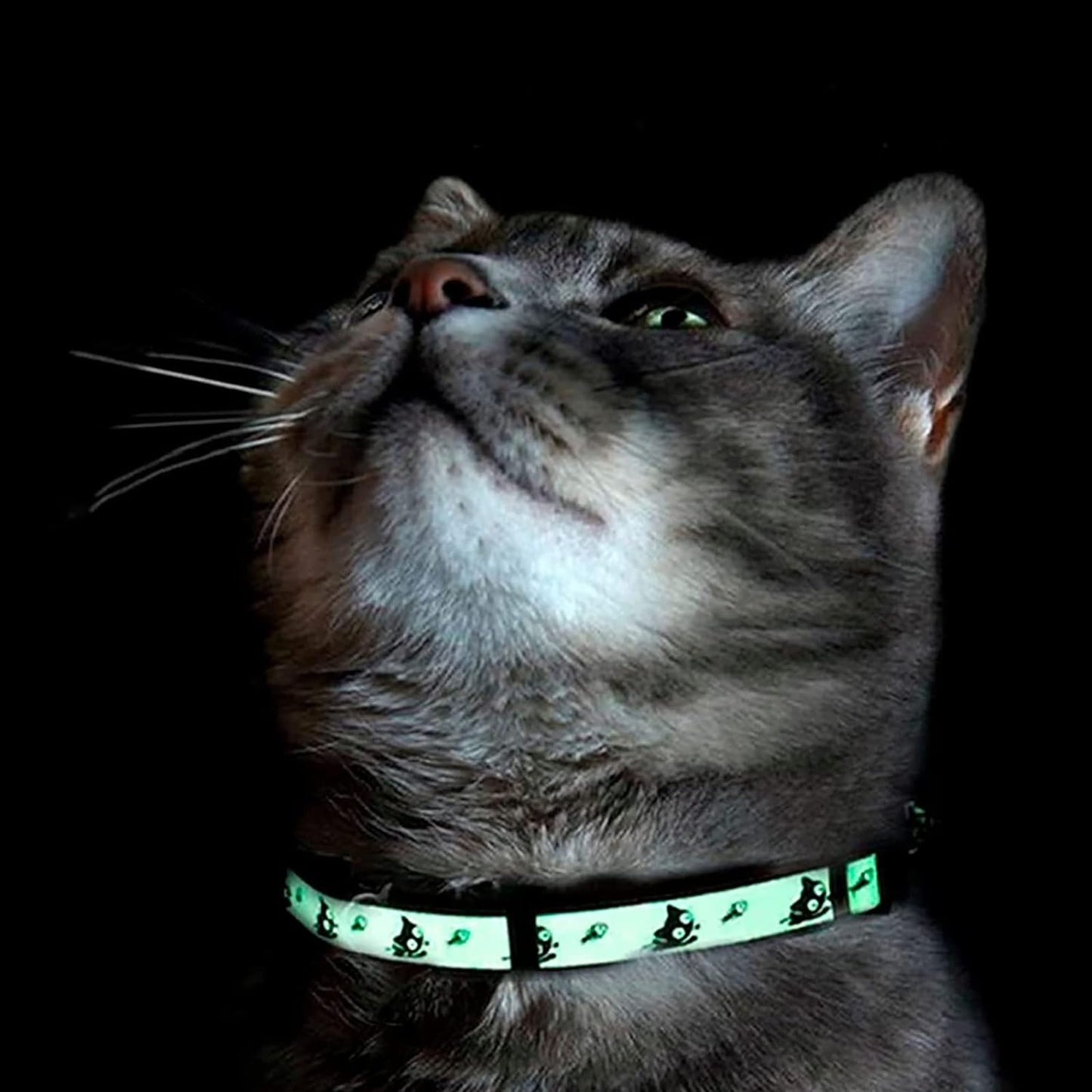 Glow in the Dark Cat Collar Kitten Collar with Safety Buckle and Removable Bell - Teal