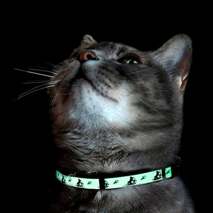 Glow in the Dark Cat Collar Kitten Collar with Safety Buckle and Removable Bell - Teal