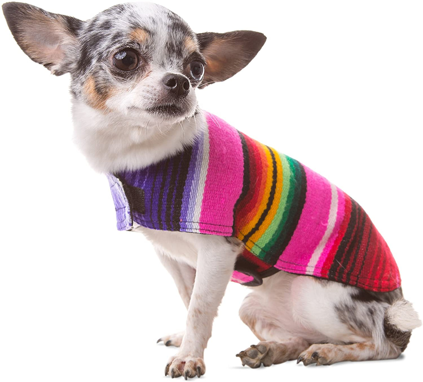 Handmade Dog Poncho from Authentic Mexican Blanket - Dog Clothes – Chihuahua Coat - Costume - Sweater - Vest (Multi Color, XXS)