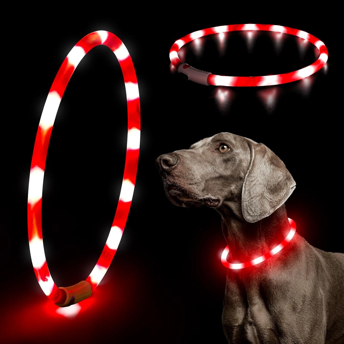 LED Dog Collar Light - USB Rechargeable Light up Dog Collars, DIY Flash LED Dog Necklace for Your Dogs Walking at Night (Red)