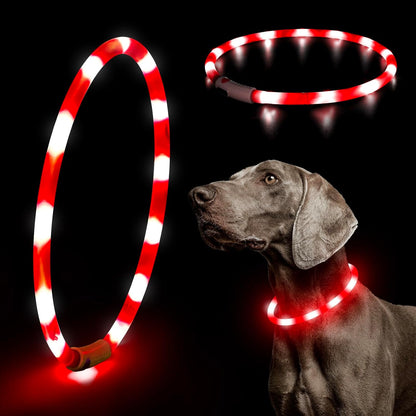 LED Dog Collar Light - USB Rechargeable Light up Dog Collars, DIY Flash LED Dog Necklace for Your Dogs Walking at Night (Red)