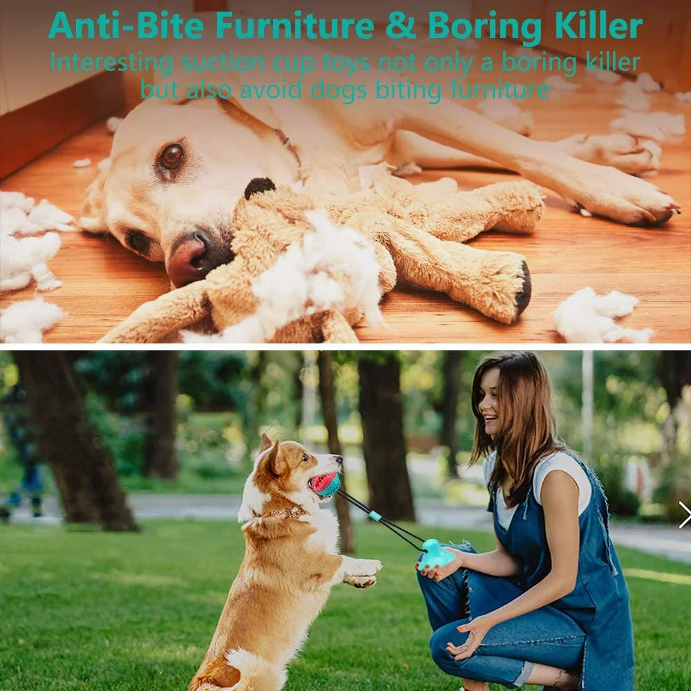 Dog Chew Toy - Dog Puzzle Treat Food Dispensing Ball Toys - Fixed Chew Toys for Aggressive Chewers