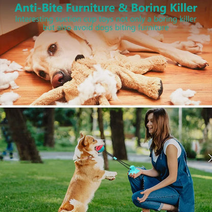 Dog Chew Toy - Dog Puzzle Treat Food Dispensing Ball Toys - Fixed Chew Toys for Aggressive Chewers