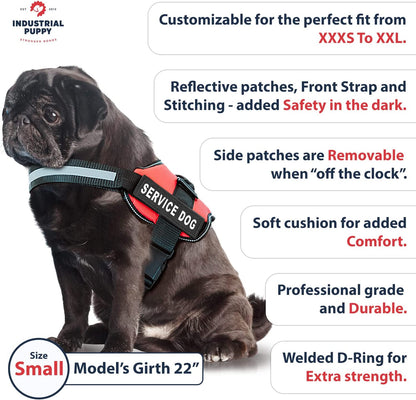 Service Dog Vest with Hook and Loop Straps & Matching Leash Set - Harnesses from XXS to XXL - Service Dog Harness Features Reflective Patch and Comfortable Mesh Design (Red, Small)