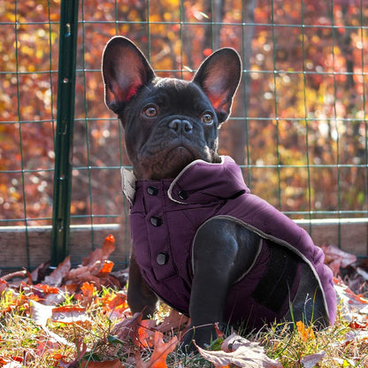 Warm Dog Jacket, Snowproof Windproof Waterproof Dog Winter Coat for Cold Weather - Soft Fleece Lining and Warm Thick Padded Dog Snow Coat with Detachable Hood for Puppy Small Medium Dogs