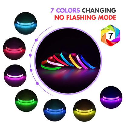 Light up LED Dog Collar, Waterproof Rechargeable for Night Walking RGB Colorful Adjustable Safety Dog Collar for Small Dogs (Purple)