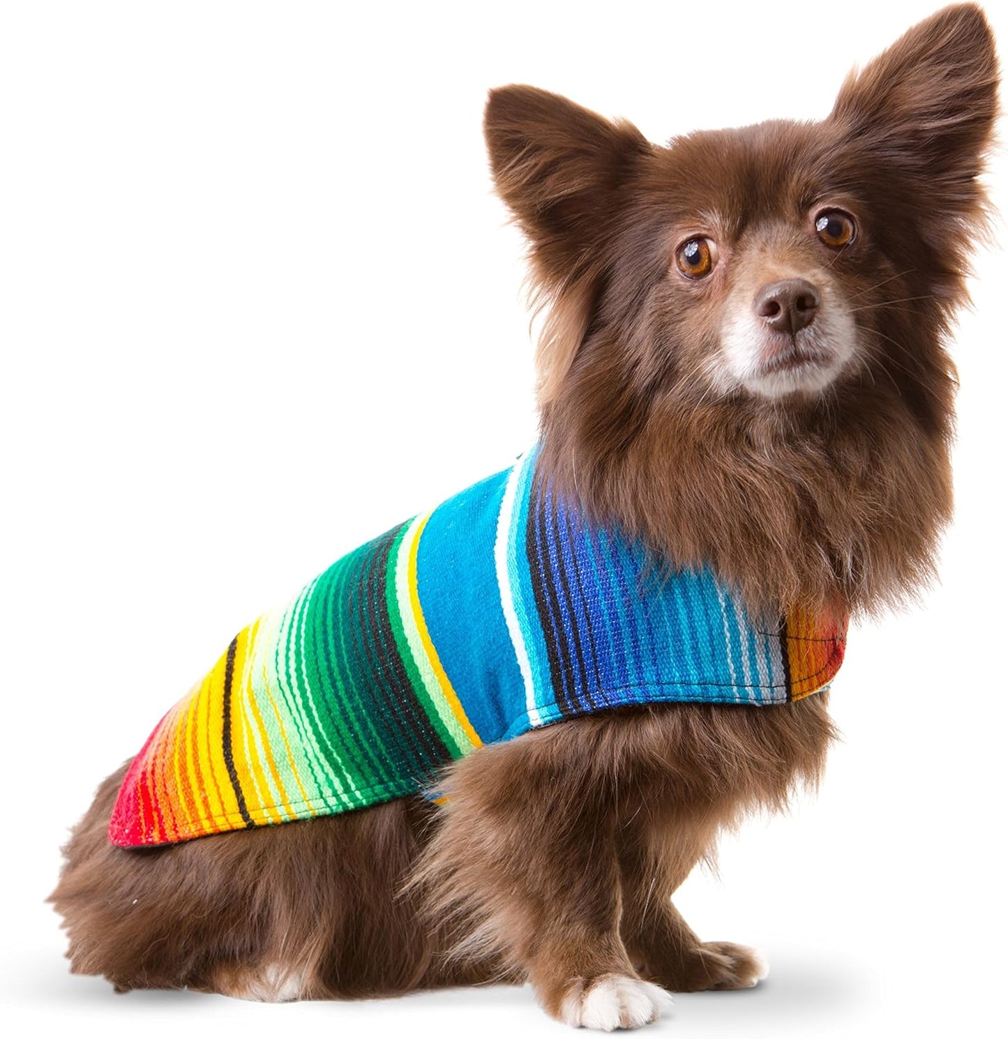 Handmade Dog Poncho from Authentic Mexican Blanket - Dog Clothes – Chihuahua Coat - Costume - Sweater - Vest (Multi Color, XXS)