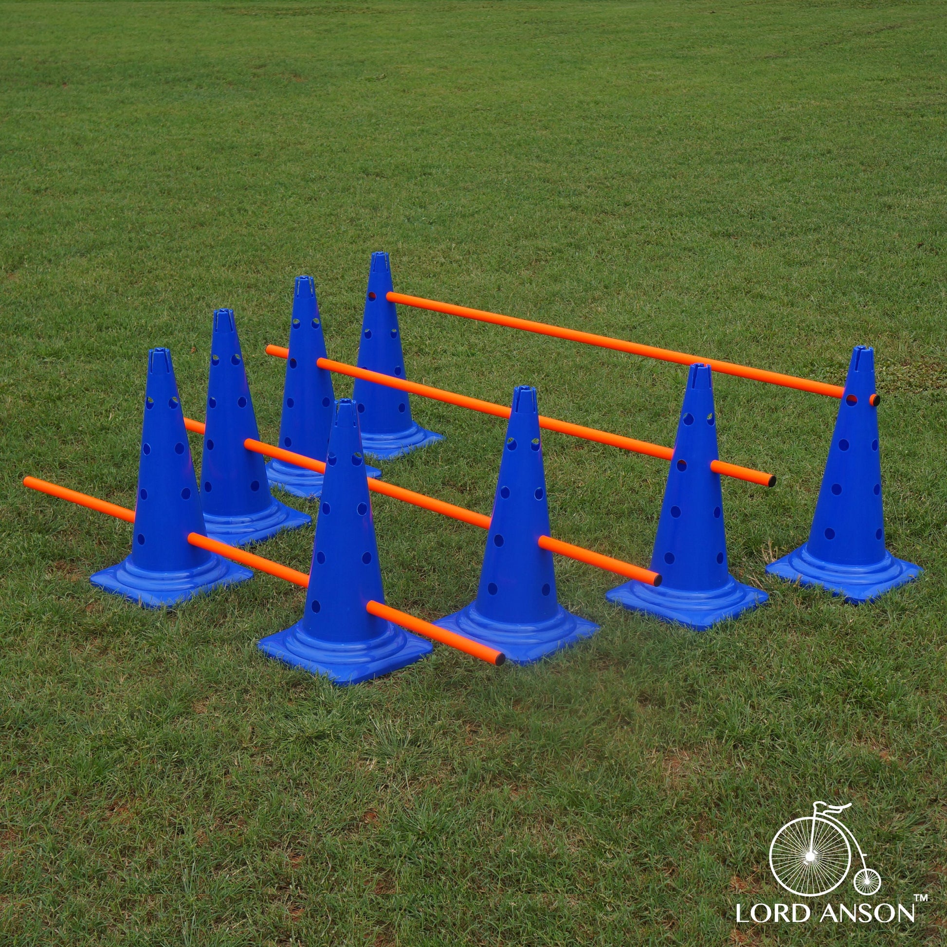 Trade; Dog Agility Hurdle Cone Set - Canine Agility Training Set - Obedience, Agility, and Rehabilitation - 8 Agility Cones and 4 Agility Rods