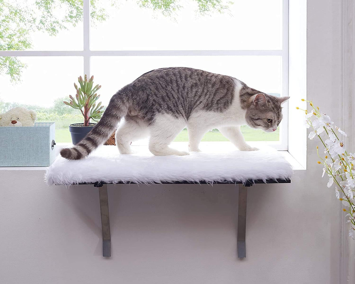Cat Window Perch-Mounted Shelf Bed for Cat-Funny Sleep DIY Kitty Sill Window Perch- Washable Foam Cat Seat