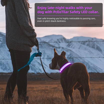 Light up LED Dog Collar, Waterproof Rechargeable for Night Walking RGB Colorful Adjustable Safety Dog Collar for Small Dogs (Purple)