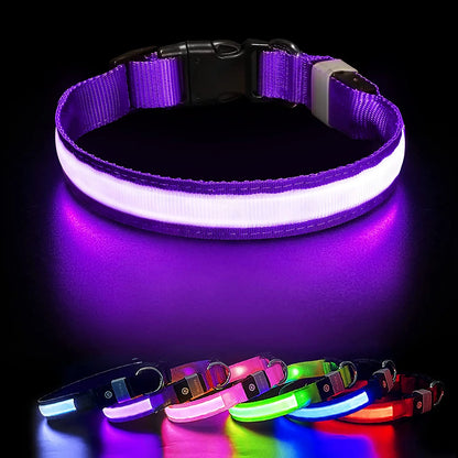 Light up LED Dog Collar, Waterproof Rechargeable for Night Walking RGB Colorful Adjustable Safety Dog Collar for Small Dogs (Purple)