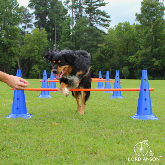 Trade; Dog Agility Hurdle Cone Set - Canine Agility Training Set - Obedience, Agility, and Rehabilitation - 8 Agility Cones and 4 Agility Rods