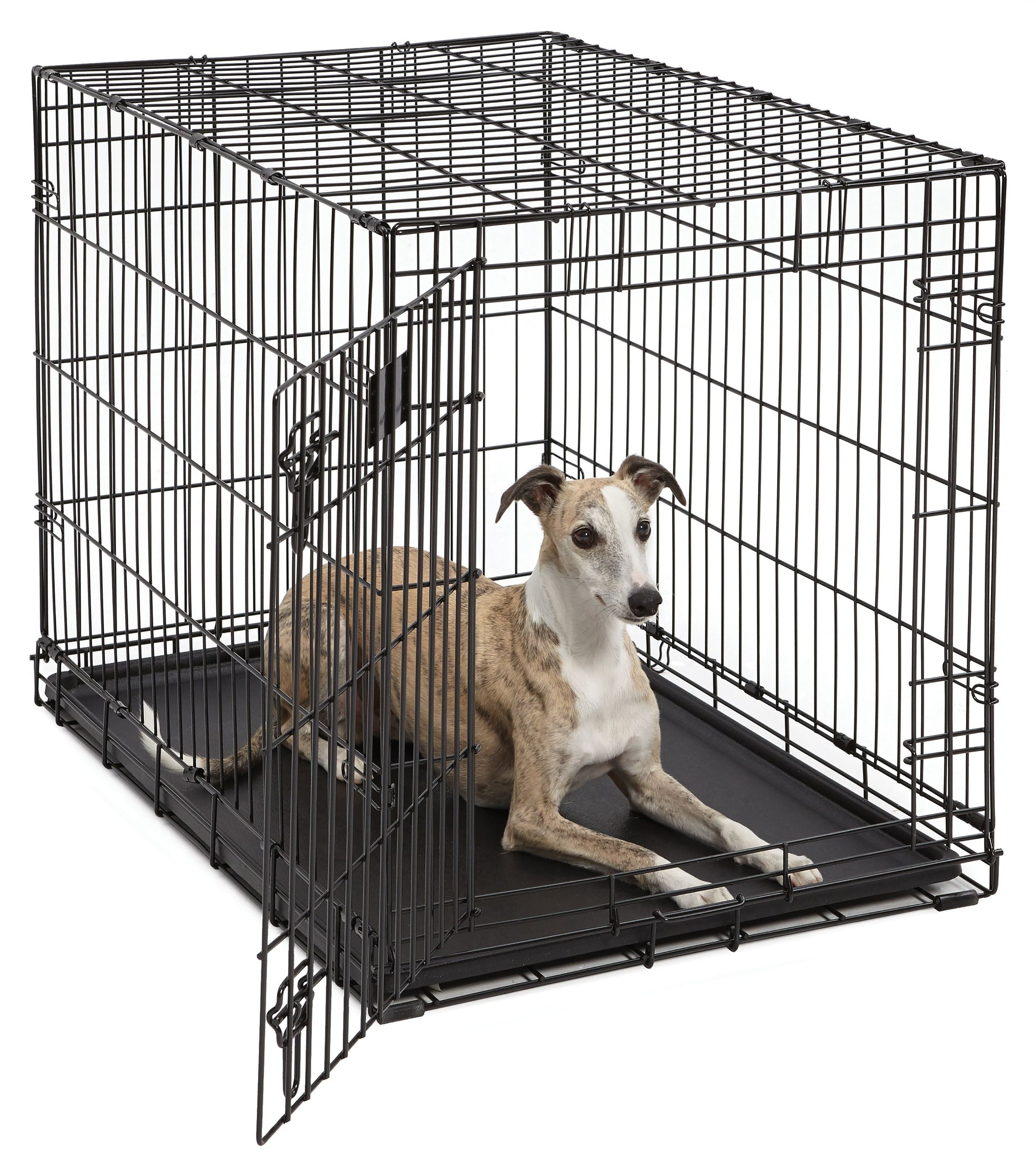 Newly Enhanced Lifestages 24' Single Door Folding Metal Dog Crate with Divider Panel, Floor Protecting Feet, Leak-Proof Dog Pan, 1624, 24L X 18W X 19H Inches, Small Dog Breed