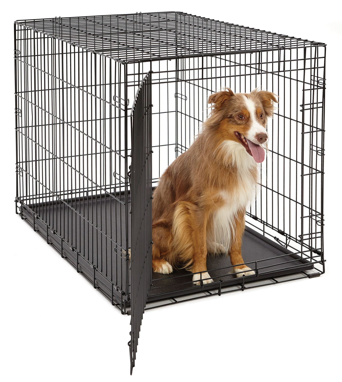 Newly Enhanced Lifestages 24' Single Door Folding Metal Dog Crate with Divider Panel, Floor Protecting Feet, Leak-Proof Dog Pan, 1624, 24L X 18W X 19H Inches, Small Dog Breed