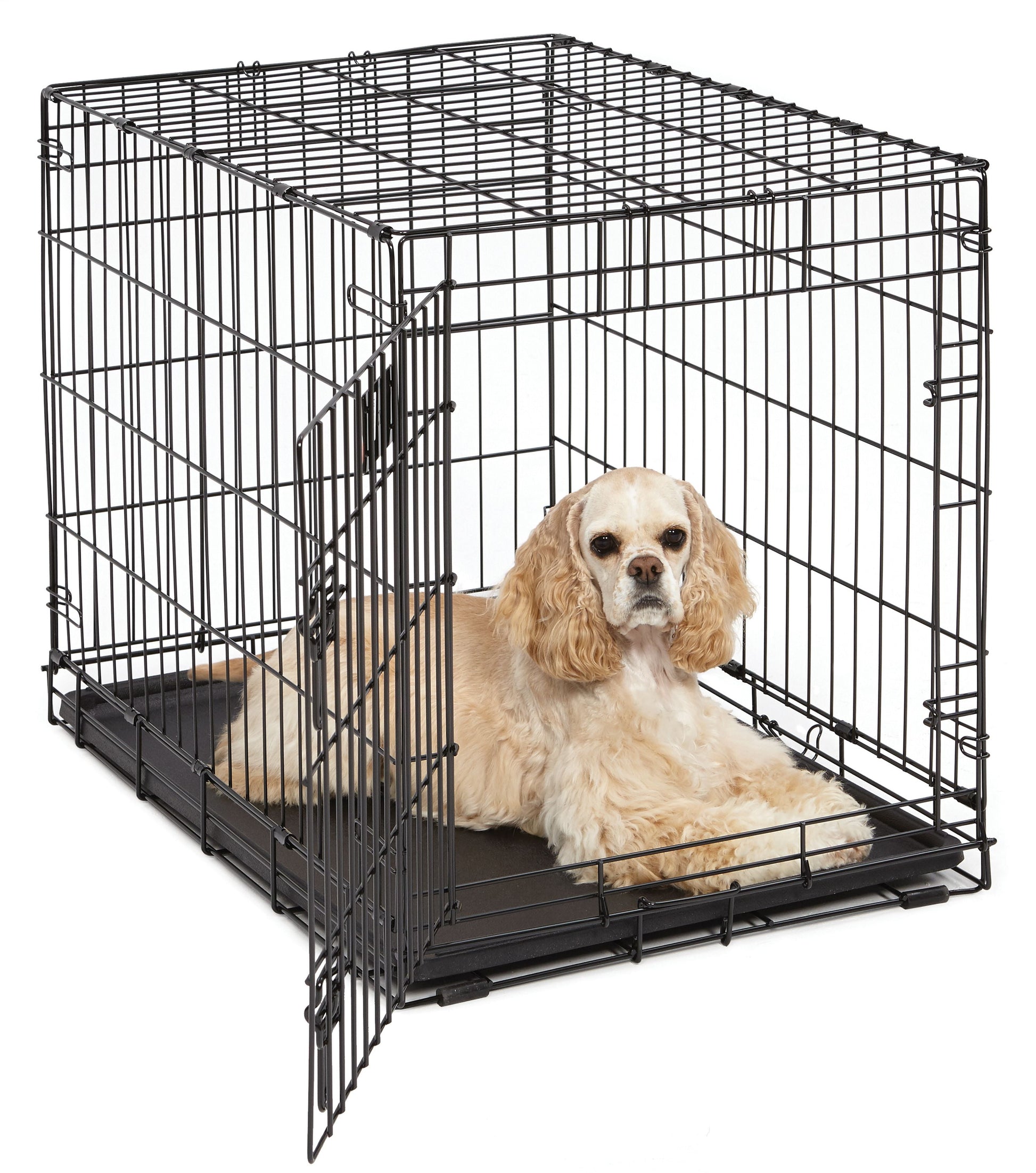 Newly Enhanced Lifestages 24' Single Door Folding Metal Dog Crate with Divider Panel, Floor Protecting Feet, Leak-Proof Dog Pan, 1624, 24L X 18W X 19H Inches, Small Dog Breed