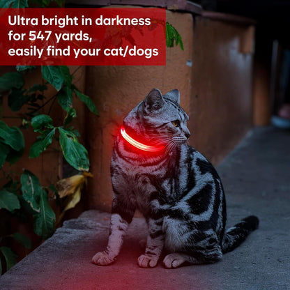Light up Dog Collar - Reflective LED Puppy Collar Rechargeable Glow in the Dark Cat Collar High Visibility Safety Dog Lights for Night Walking (XS, Red)
