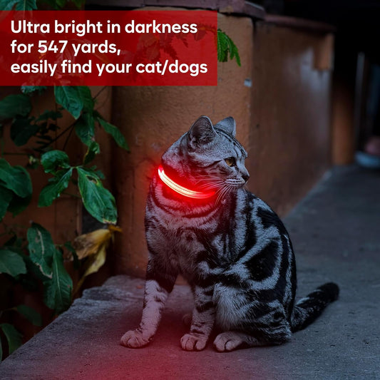 Light up Dog Collar - Reflective LED Puppy Collar Rechargeable Glow in the Dark Cat Collar High Visibility Safety Dog Lights for Night Walking (XS, Red)