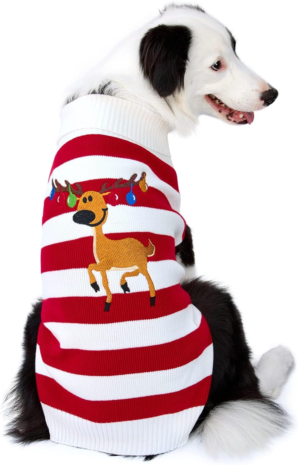 Rudolph the Red Nosed Reindeer Sweater Pet Holiday Clothes Cat Sweater Dog Sweater Winter Clothing Teddy Poodle Autumn Winter Clothes Dog Clothes (Red Nose, Xx-Small)