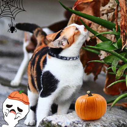 Breakaway Cat Collar with Bell Charm, 2 Packs Adjustable Kitty Collars Pink & Black Skull Pattern, 7.8-11.8 In