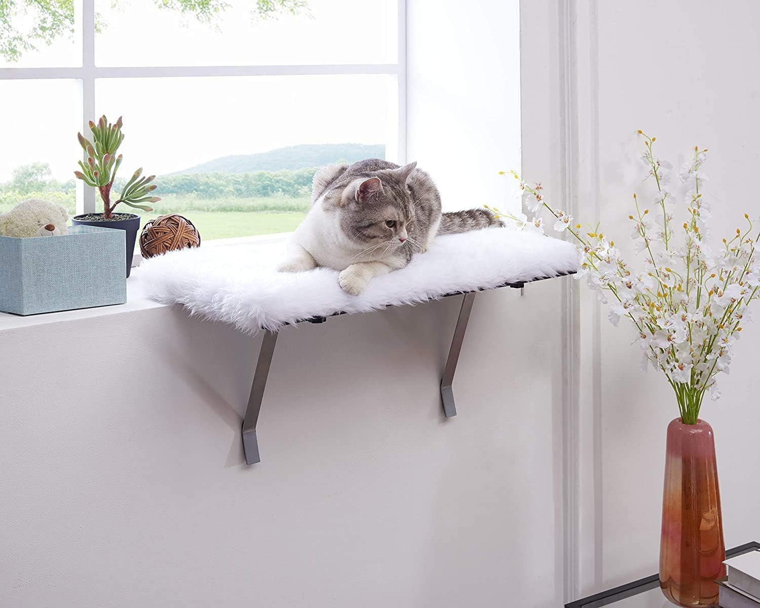 Cat Window Perch-Mounted Shelf Bed for Cat-Funny Sleep DIY Kitty Sill Window Perch- Washable Foam Cat Seat