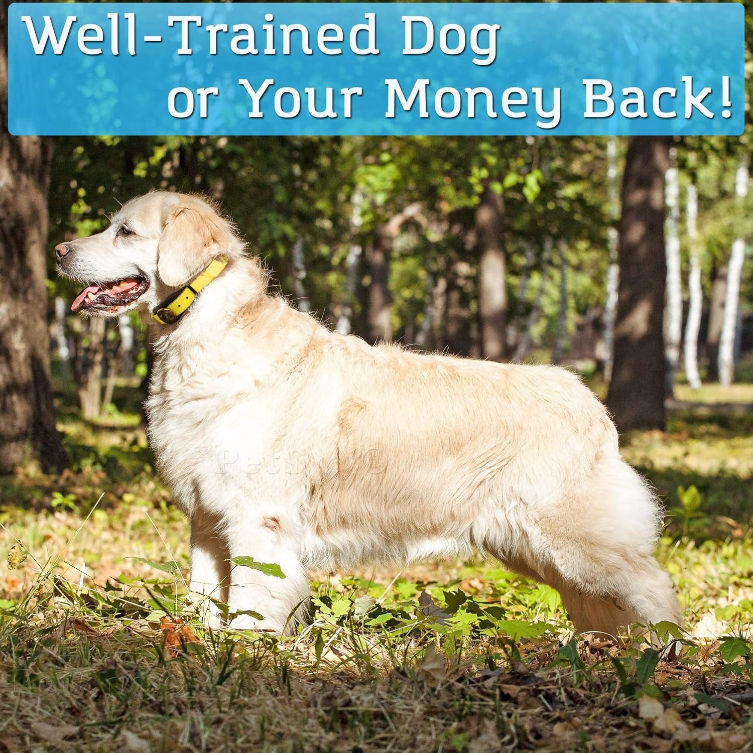 P320N Dog Training Shock Collar, 400 Yards, Medium to Large Dogs, with Vibration, Electric Shock and Beep, Waterproof, Remote Trainer