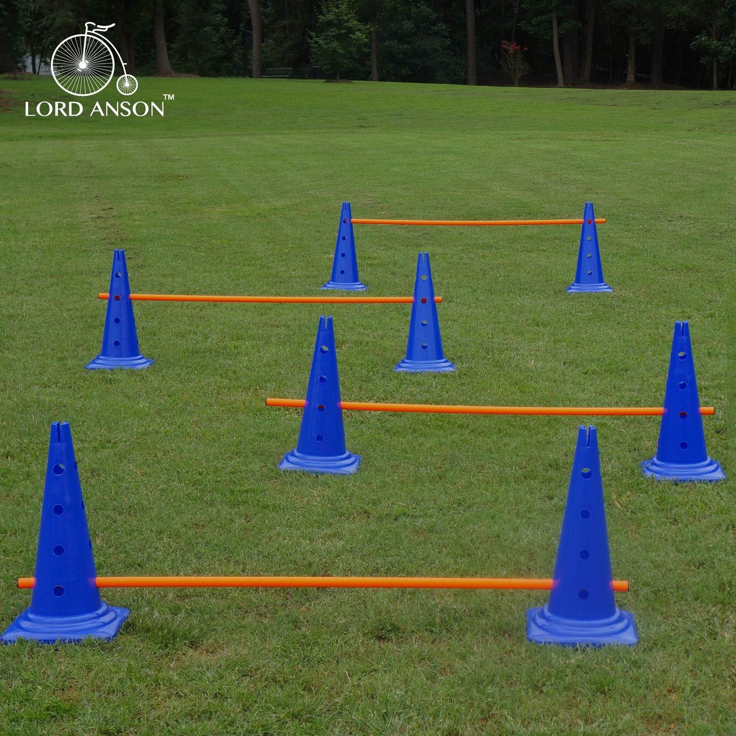 Trade; Dog Agility Hurdle Cone Set - Canine Agility Training Set - Obedience, Agility, and Rehabilitation - 8 Agility Cones and 4 Agility Rods