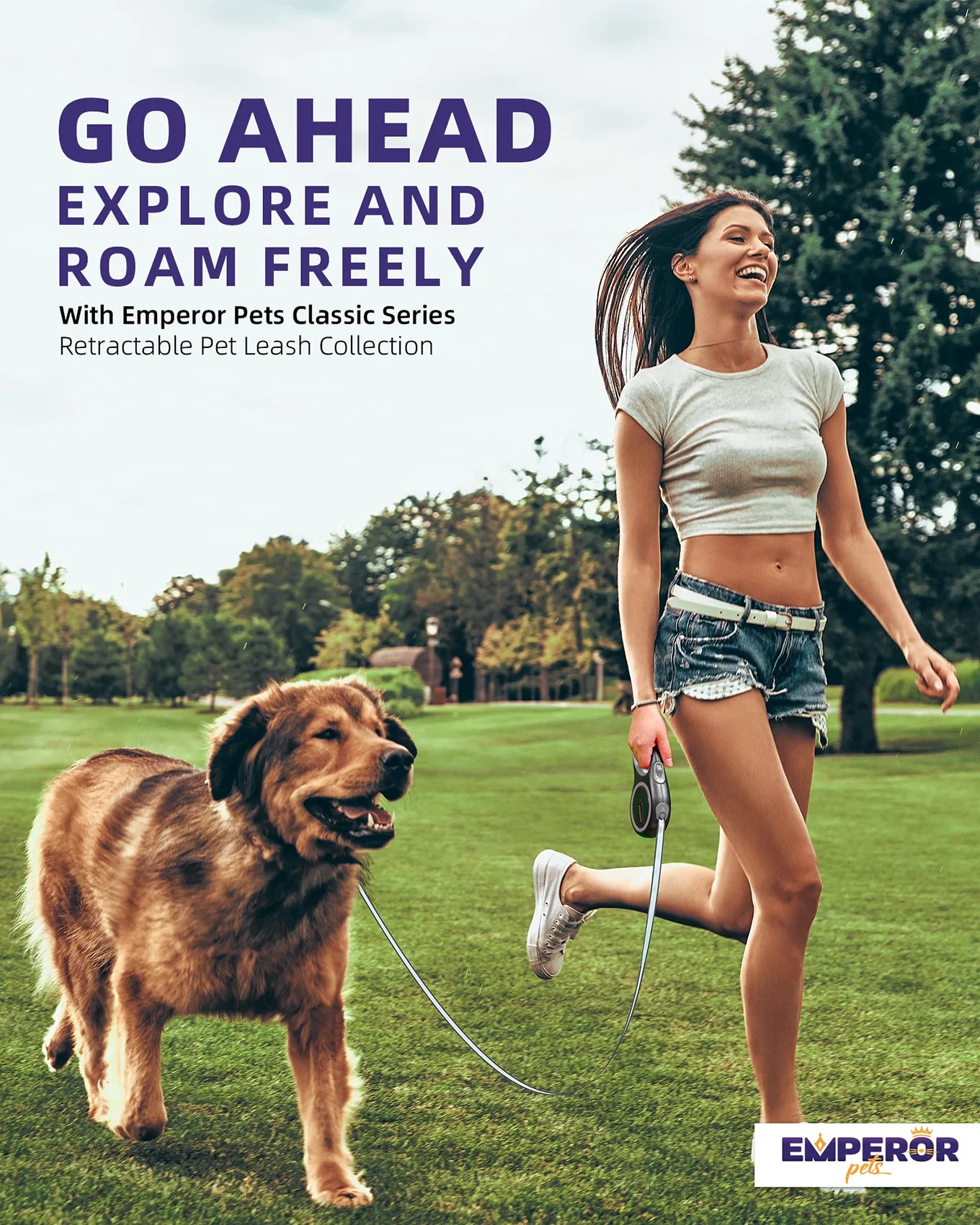 16 Ft Retractable Dog Leash Large Dogs - up to 110Lbs, Large Dog Leash Heavy Duty Dog Leash Retractable 16 Ft - Gray - GY16-50