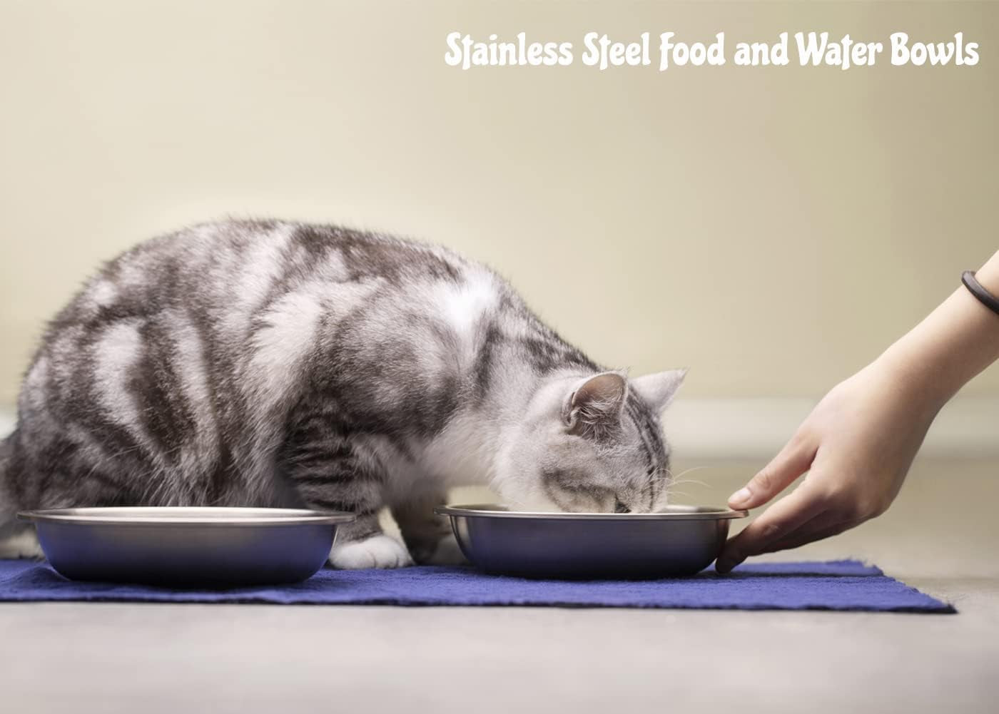 Stainless Steel Cat Bowls, Whisker Fatigue Relief Cat Food Dish, Metal Shallow Wide Large Replacement Plate for Dog and Pet, Ideal for Raised Elevated Pet Feeding Station Stand