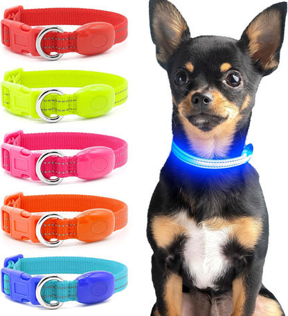 Light up Dog Collar - Reflective LED Puppy Collar Rechargeable Glow in the Dark Cat Collar High Visibility Safety Dog Lights for Night Walking (XS, Red)