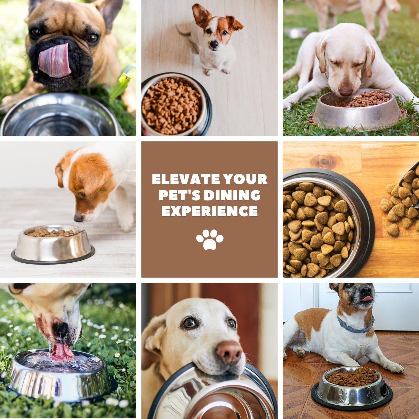 Stainless Steel Dog Bowl No Mess Non Spill Dog Water Bowl Rubber Base Dog Bowls for Medium Sized Dog, Food and Water Dish, Pet Food Holder, 22 Cm