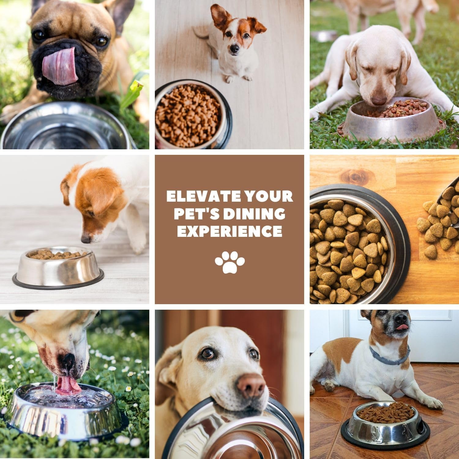 Stainless Steel Dog Bowl No Mess Non Spill Dog Water Bowl Rubber Base Dog Bowls for Medium Sized Dog, Food and Water Dish, Pet Food Holder, 22 Cm