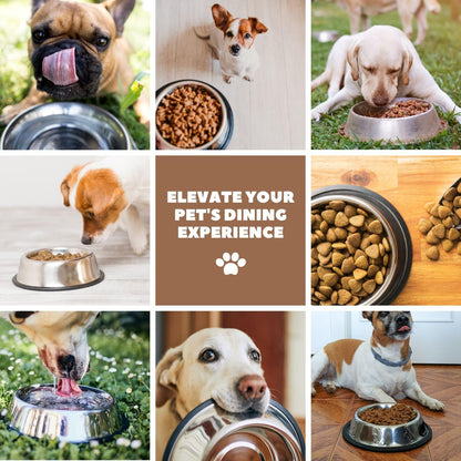 Stainless Steel Dog Bowl No Mess Non Spill Dog Water Bowl Rubber Base Dog Bowls for Medium Sized Dog, Food and Water Dish, Pet Food Holder, 22 Cm