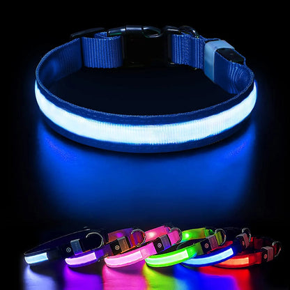 Light up LED Dog Collar, Waterproof Rechargeable for Night Walking RGB Colorful Adjustable Safety Dog Collar for Small Dogs (Purple)