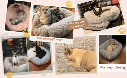 Rectangle Plush Dog Bed Cat Beds for Small Dogs,Washable Medium Pet Beds Medium（26X22X7In,Under 25 Lbs）, Lightgrey