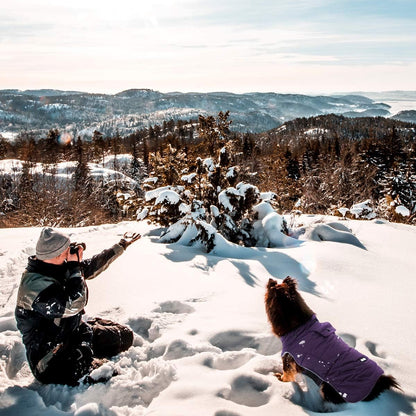 Warm Dog Jacket, Snowproof Windproof Waterproof Dog Winter Coat for Cold Weather - Soft Fleece Lining and Warm Thick Padded Dog Snow Coat with Detachable Hood for Puppy Small Medium Dogs