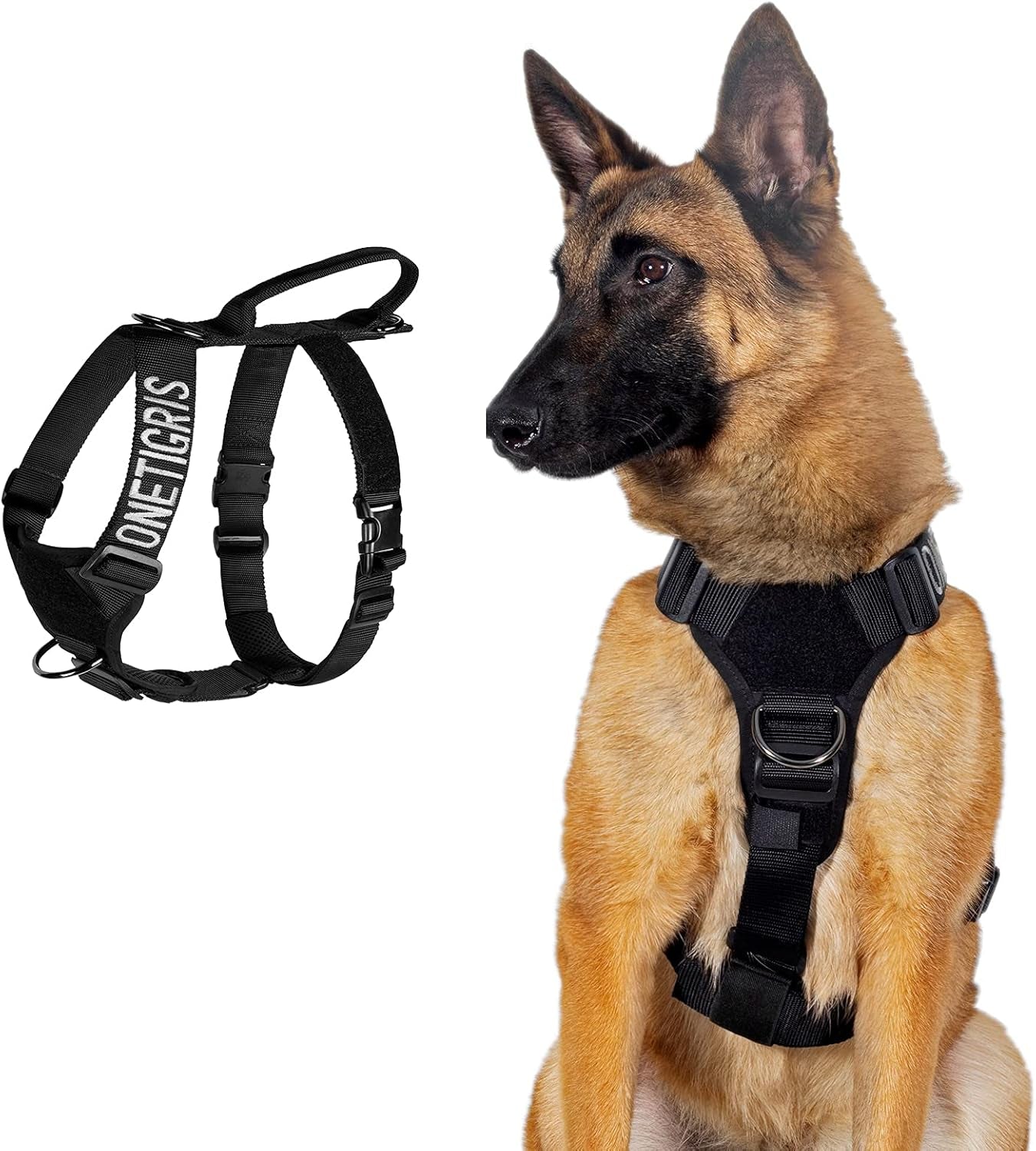 Lightweight No Pull Dog Harness - Perfect for Walking & Hiking All-Day Wear with Small, Medium & Large Dogs (Black, M)