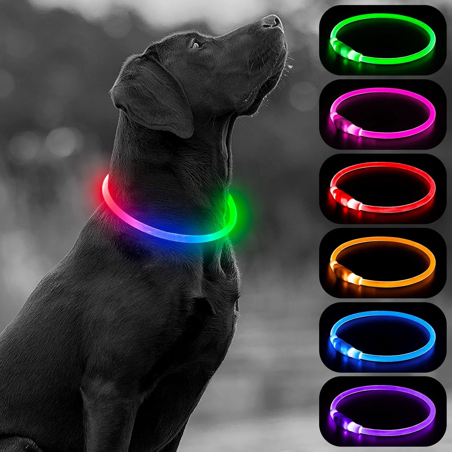 LED Dog Collar Light - USB Rechargeable Light up Dog Collars, DIY Flash LED Dog Necklace for Your Dogs Walking at Night (Red)