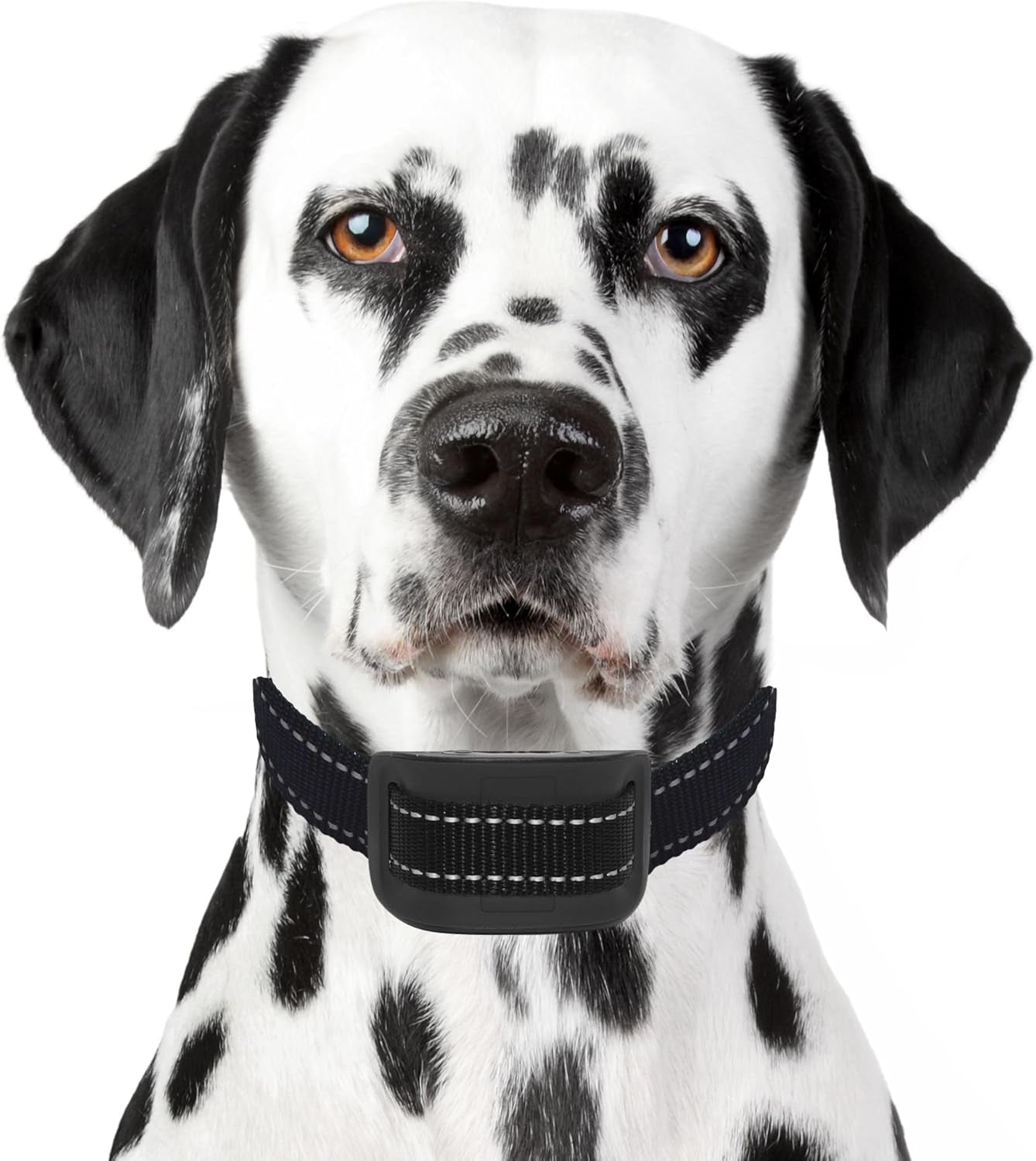 Dog Training Clicker Kit # 1 - 6 X Dog Training Clickers, 1 X Basic Training Clicker Book, 5 X Dog Training E-Books